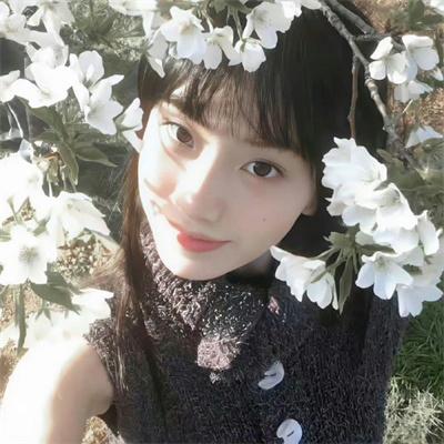 报告老板第二季